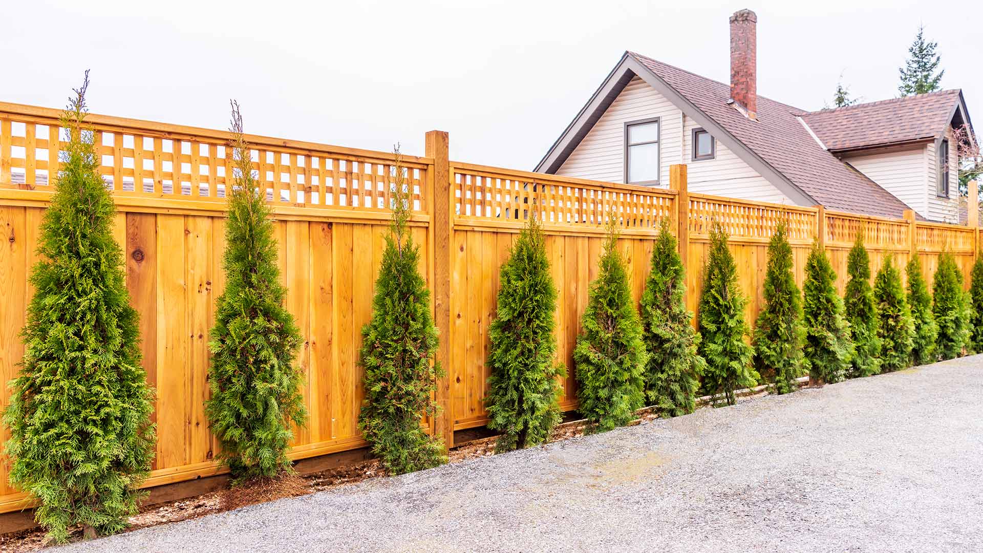 wooden fence with decorative top and small trees